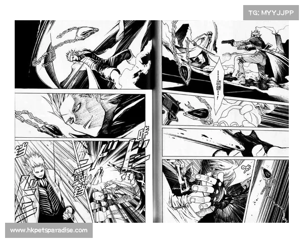 鬼泣三特别版：汉化之道