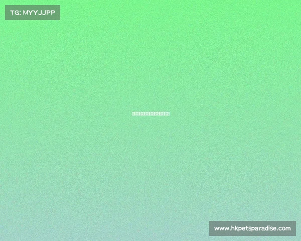 电子竞技：年轻人追捧的新赛道？